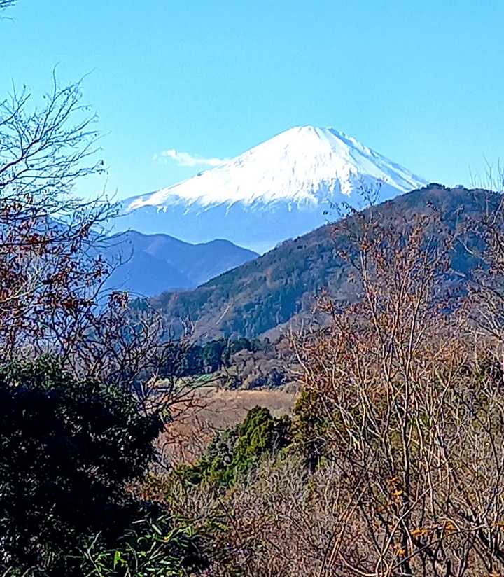 山頂から富士山が綺麗に見えます