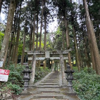 あれっ？岩屋山山頂の写真が無い？まっいいか、山頂に登り返し。

