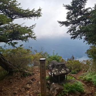 今日はだんだん雲が厚くなる天候でした。