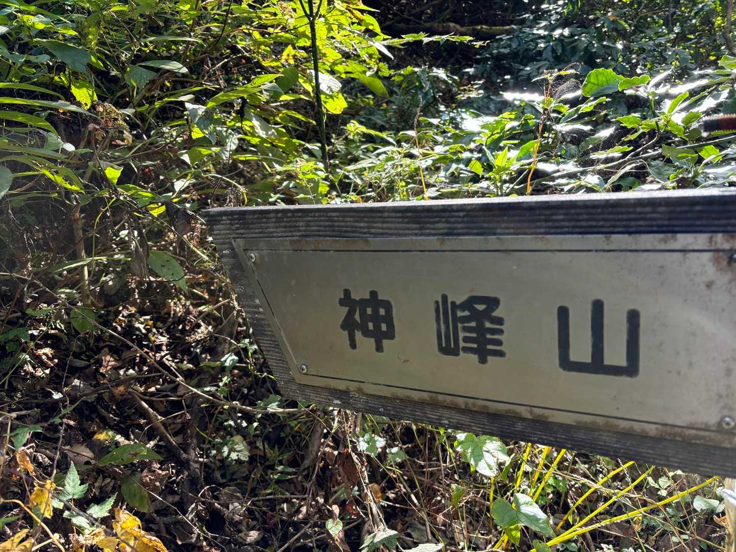 神峰山へも
行っちゃおう😃✨✨