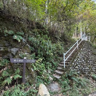 下山はひたすら下り
小走り気味だったので写真なしで
ここまで来た
