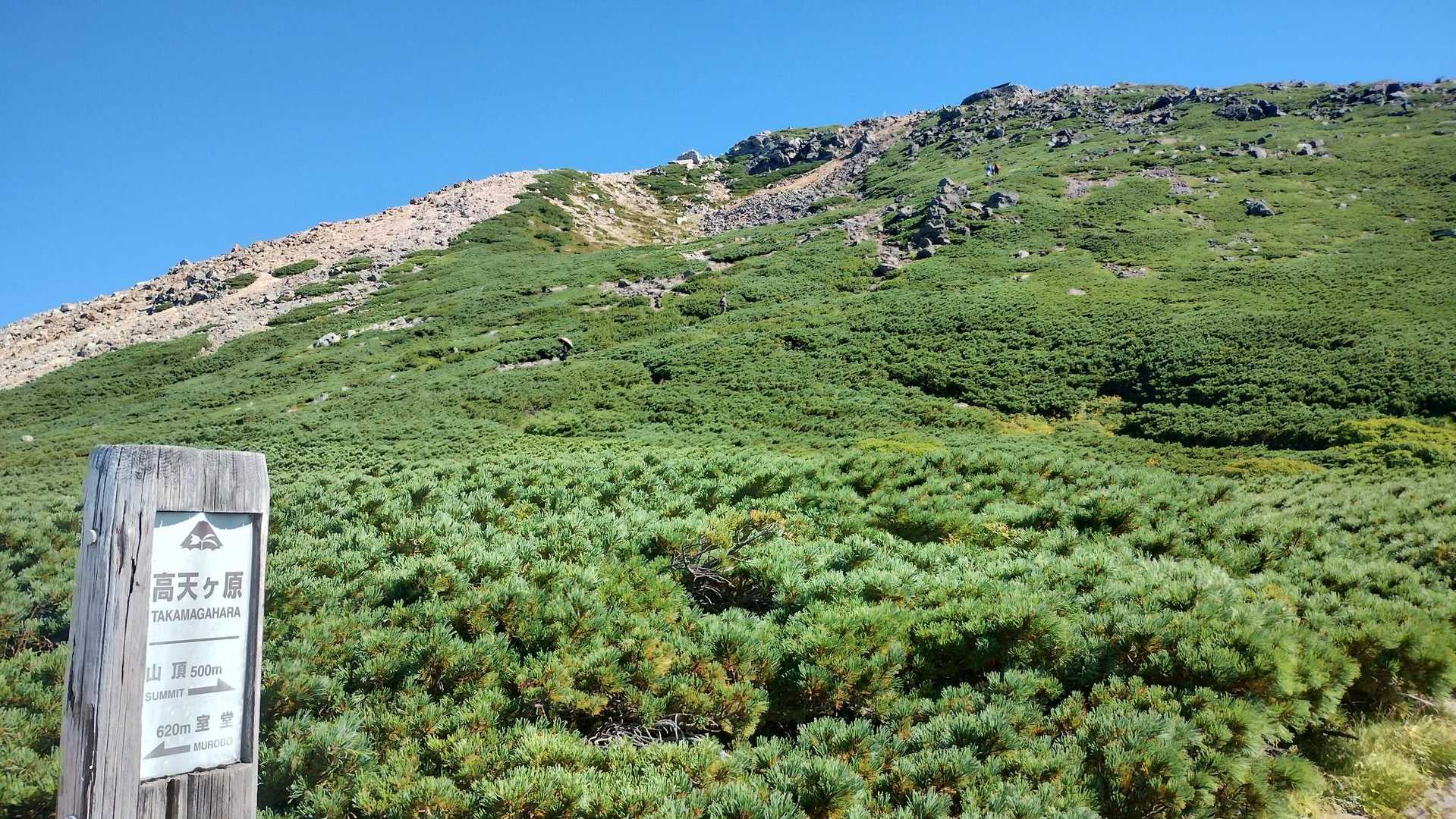 砂防新道コース | 夏には高山植物が咲き乱れる、信仰の歴史を宿す美しき霊山への写真