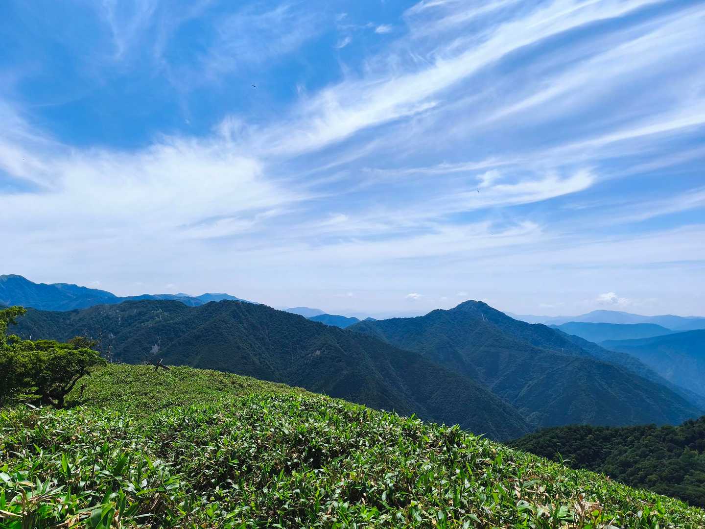右→石立山
めちゃ遠い！