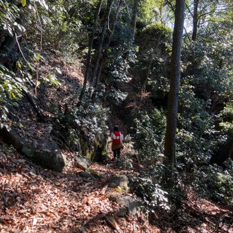 胎内めぐりへ向かいます
落ち葉が沢山積もって滑るので慎重に歩きます