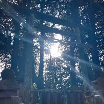 今年最後の☀️朝日♪(๑ᴖ◡ᴖ๑)♪🙏