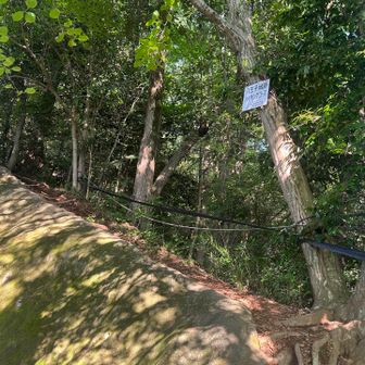 分かりにくい入り口。
早速ルートを間違えた。