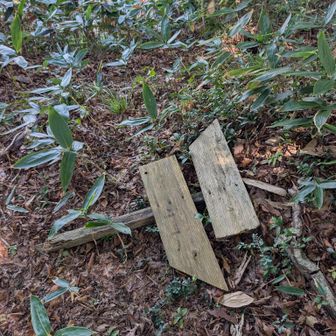 倒れてしまった案内標識。登る人はなくても間違えようがないけど、下る人には必要。ここからちょっと間違えちゃった
