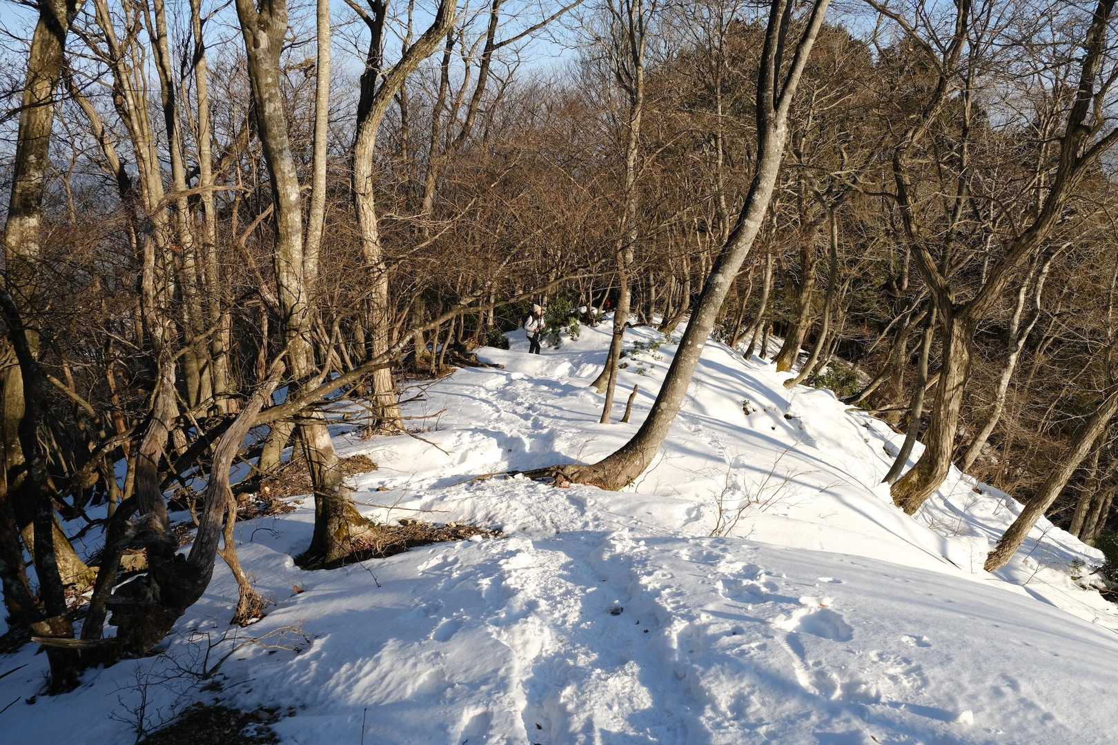 くつき温泉-蛇谷ヶ峰 往復コースの写真