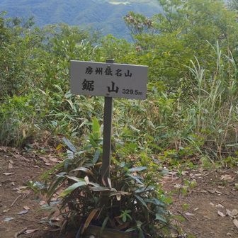 山頂到着