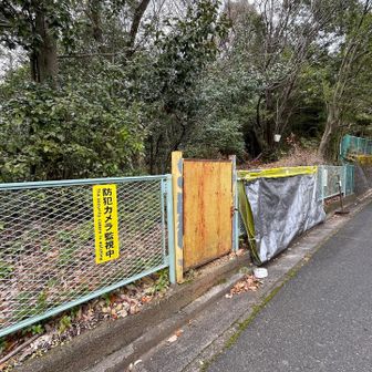 西山にはこちらの黄色ゲートから🟨
結構急な登りでした