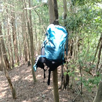 同行？の先輩とすれ違いました。