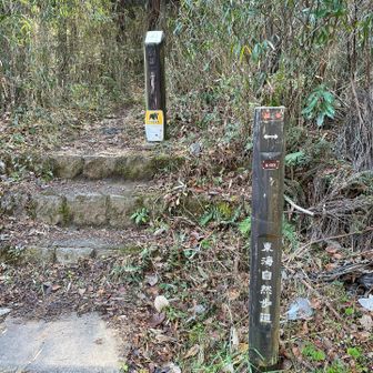 再び東海自然歩道と合流