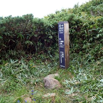 大深岳山頂着
眺望は無し