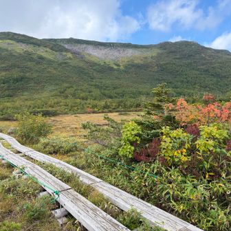 紅葉が始まりました🍁
