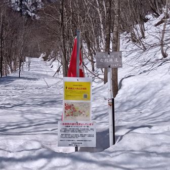 ここは禁猟のようです。