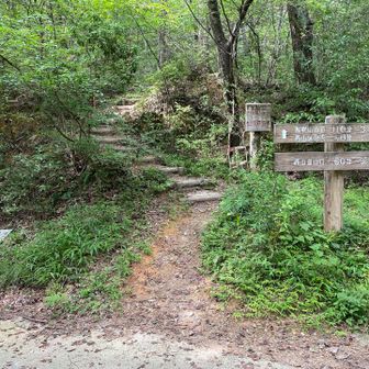 大平山行こうか迷ったけど、、、

暑いし、膝痛心配なので、エスケープします😥