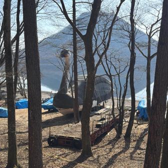 スワンのボス発見