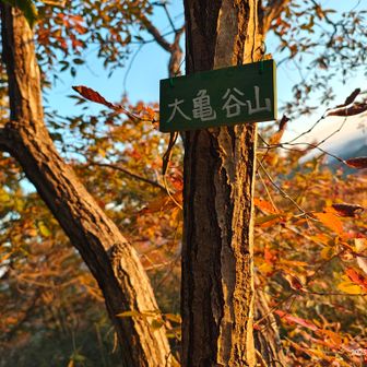 ⑬大亀谷山
ちなみに⑫愛宕山は100mルールで通過