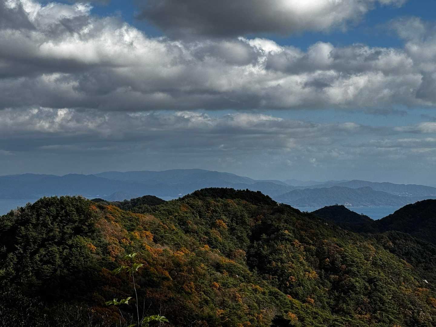 大野権現山 周回コースの写真