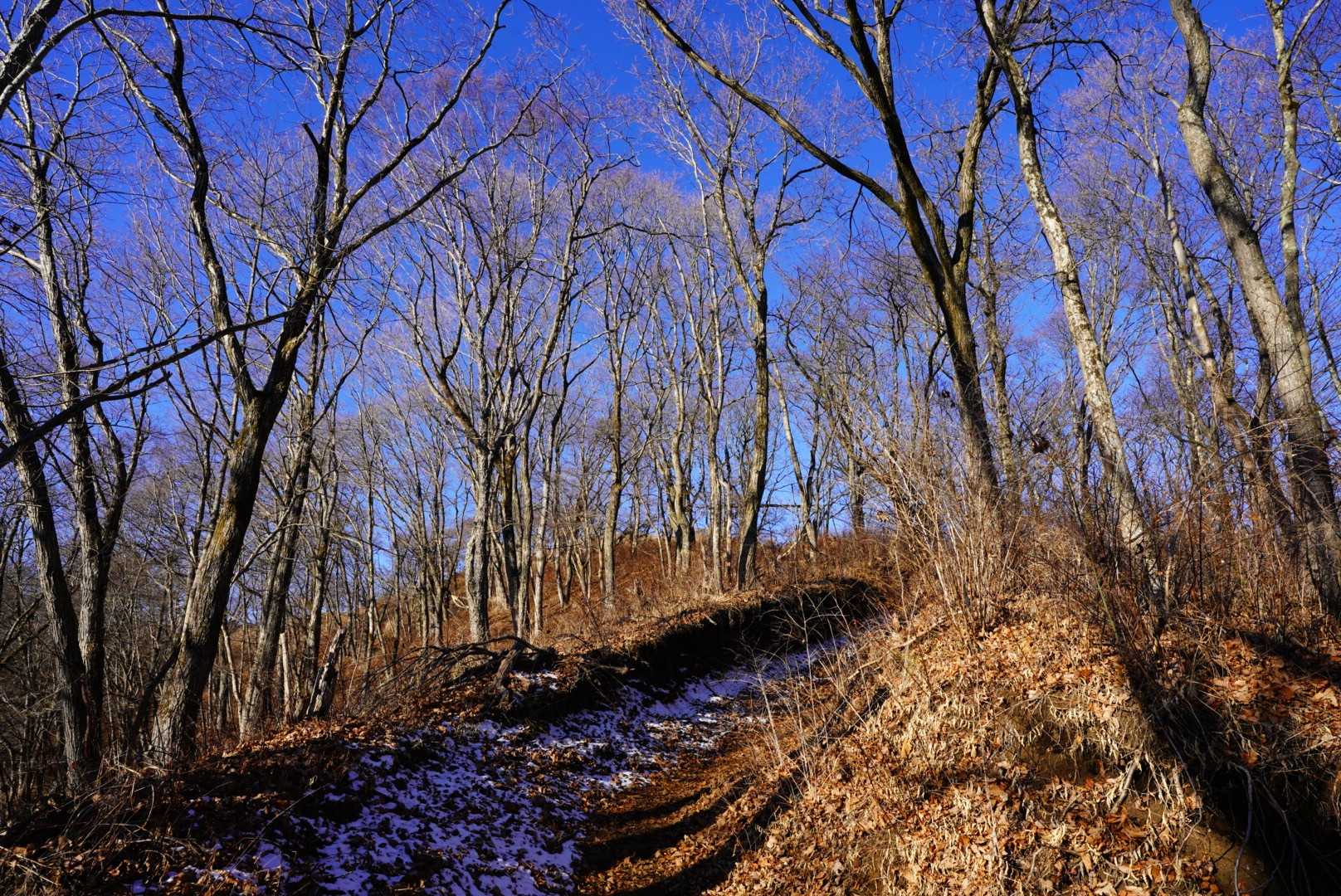 和田峠-陣馬山 周回コースの写真