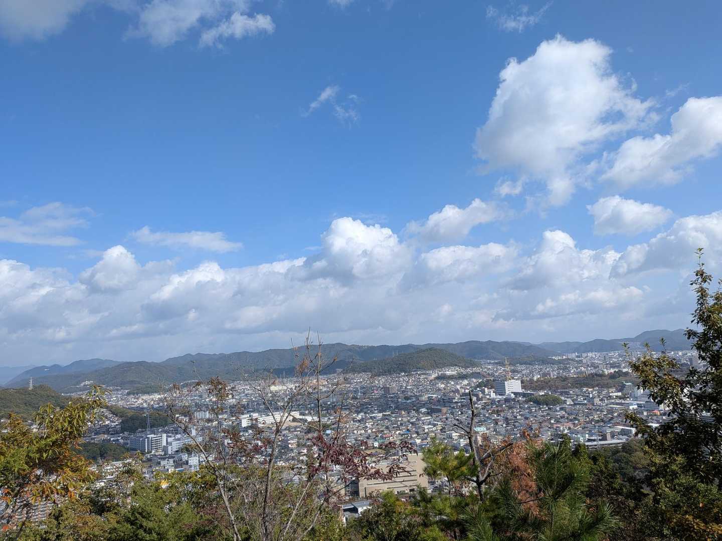 籾取山-井ノ口山-苫編山 縦走コースの写真