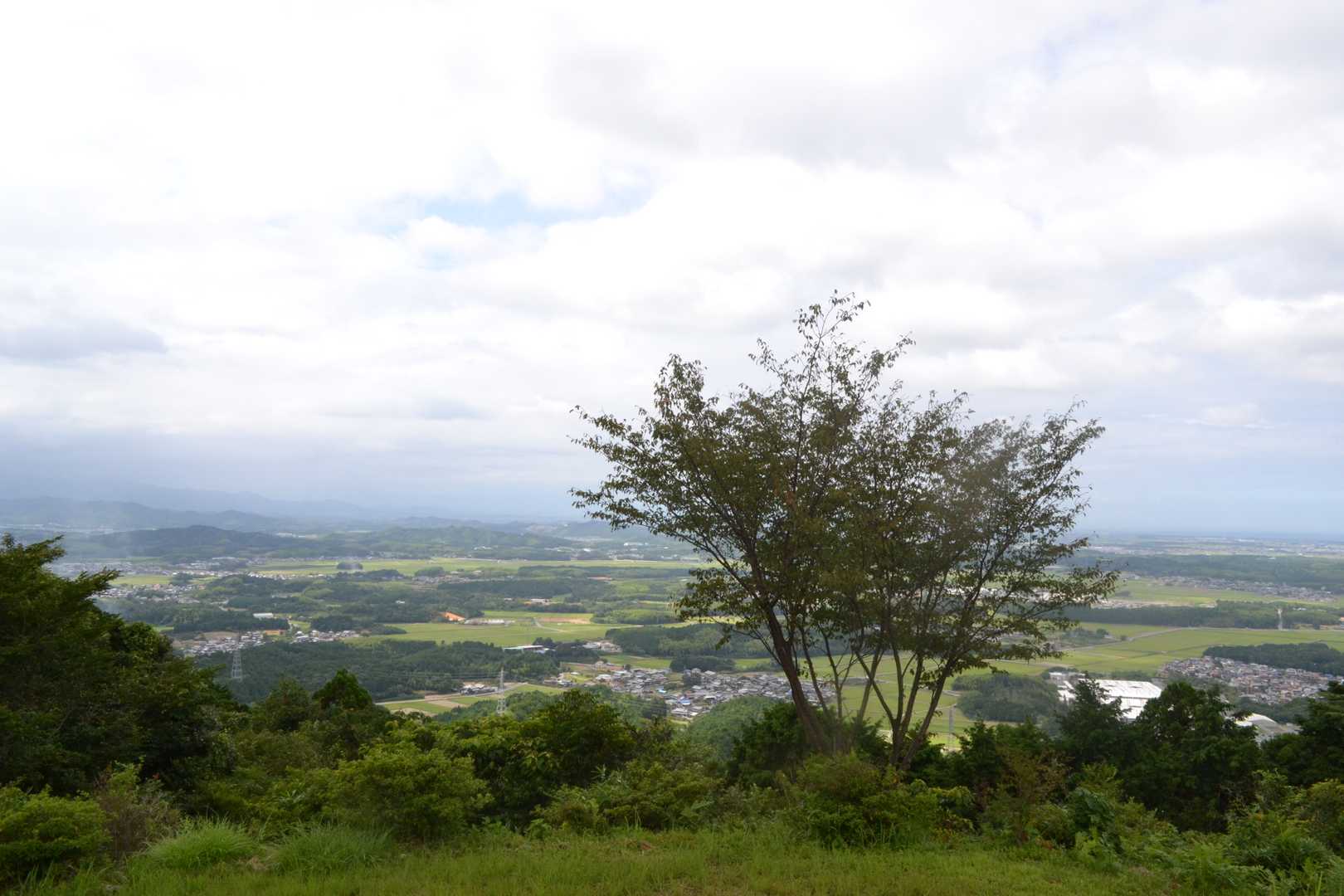 的山の写真