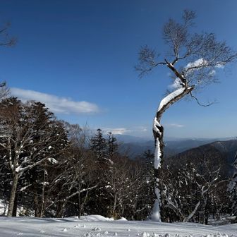 昼食場所からの眺め