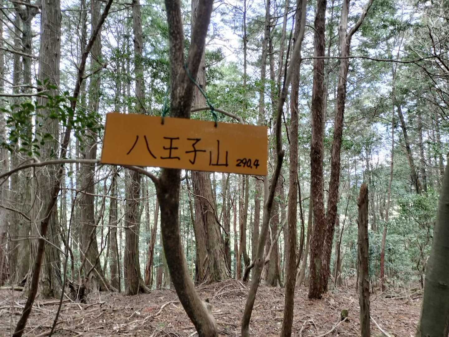 日吉神社-八王子神社-八王子山 往復コースの写真