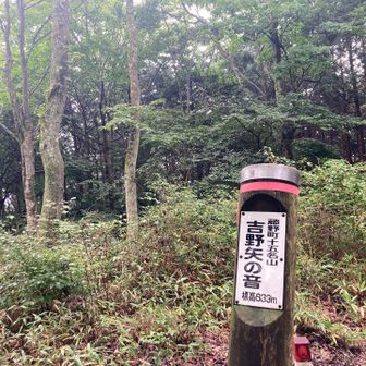 吉野矢の音山頂
今日はここから藤野方面へ下ります