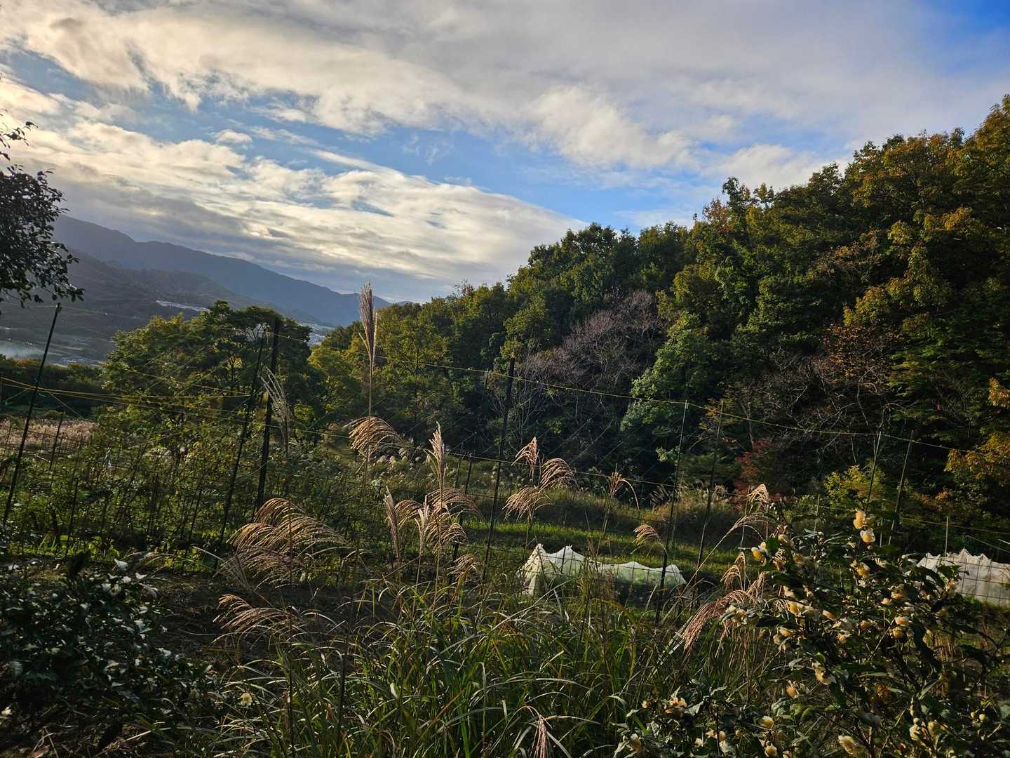 少しずつ景色が良くなってきた