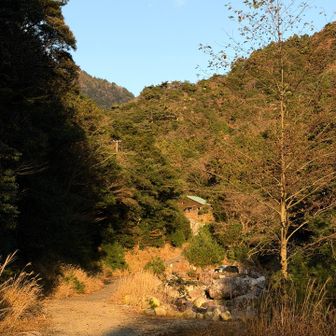 朝の光が気持ち良い