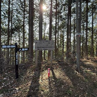 浅間嶺登頂！
しかし！
昼休憩して再開ボタンを押し忘れて進んでしまったため、ヤマップ的にはたぶん未登頂になってるかと🥲