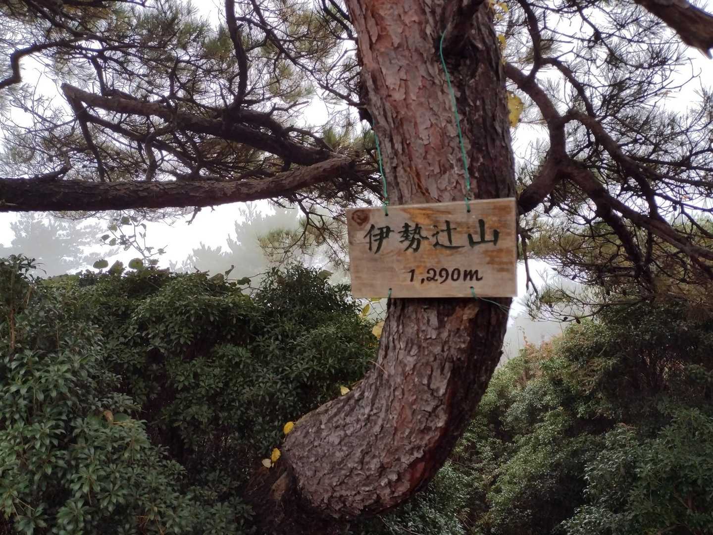 伊勢辻山🚩山頂到着イエ～イ