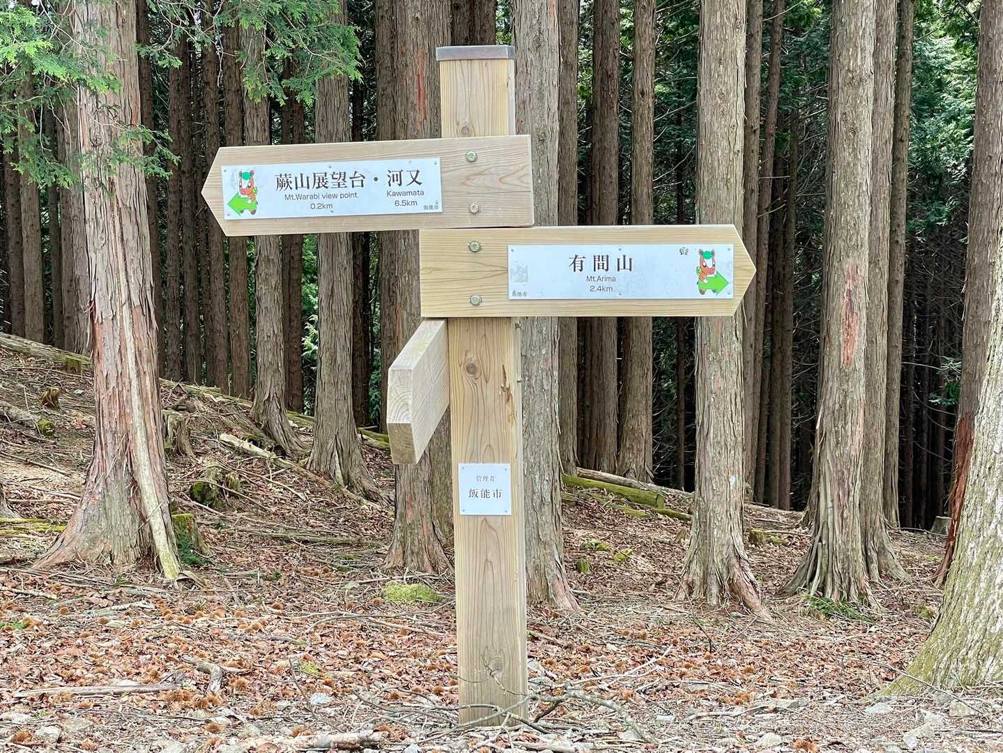 分岐の尾根に上がってきました💦蕨山展望台に行きます〜