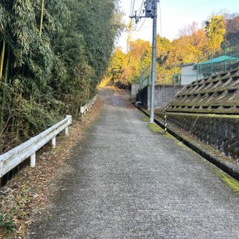 しばらくは舗装路を進む