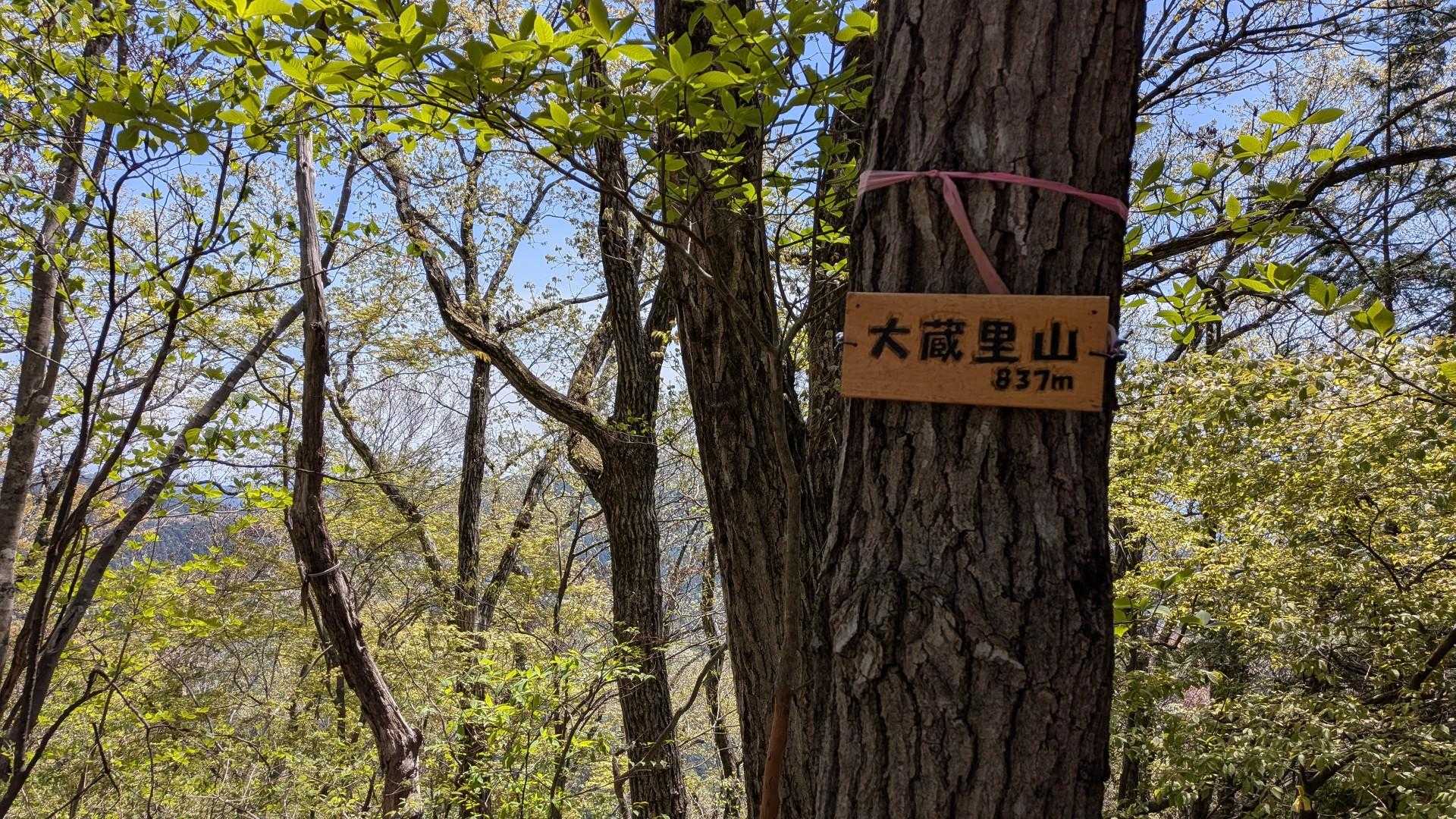 5つ目、大蔵里山（西峰）。