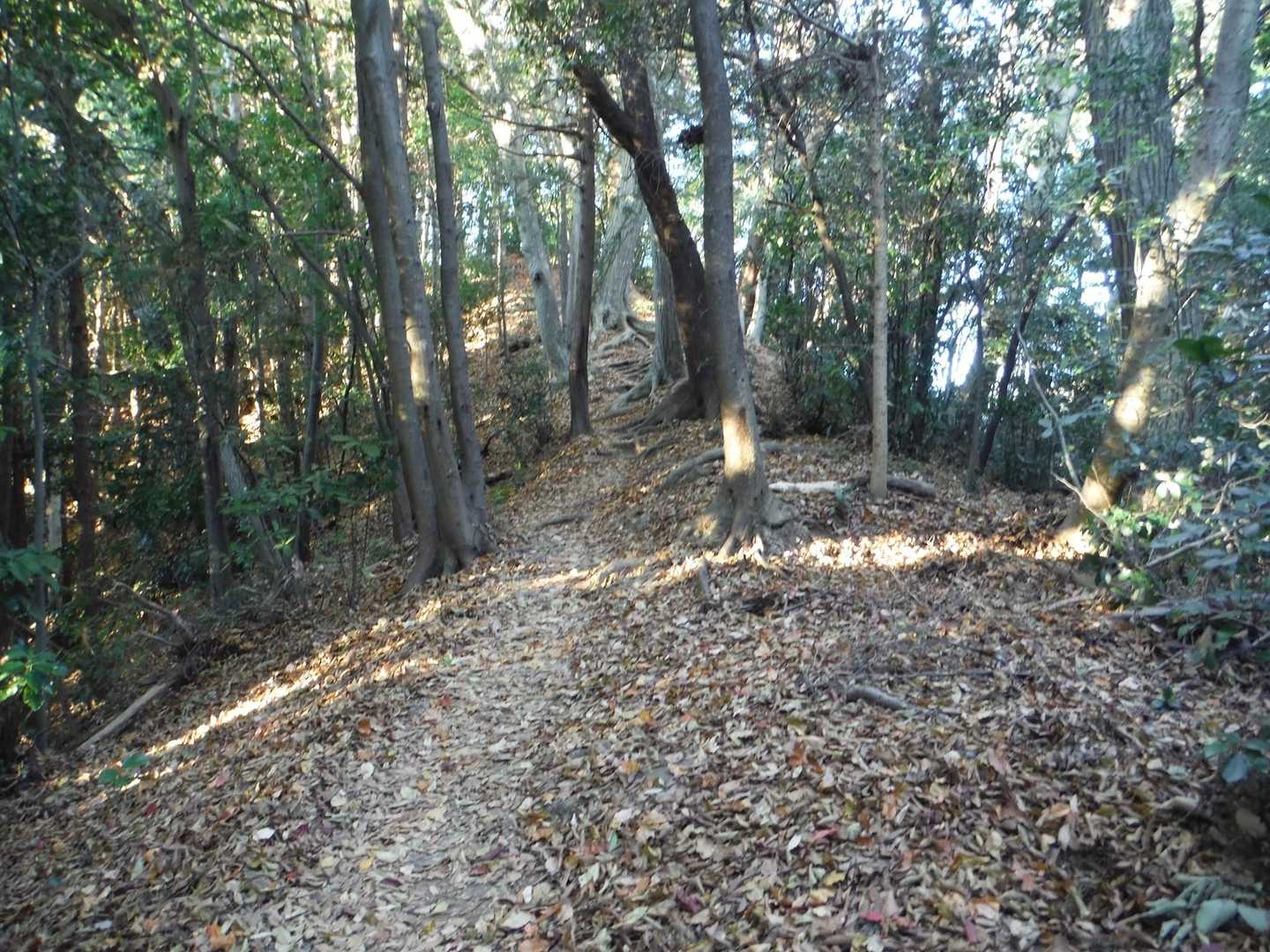 高尾山口駅-八方台-初沢山-高尾天神社-初沢山入口 縦走コースの写真