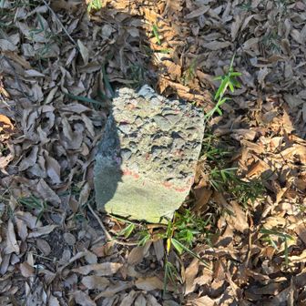 一つ目のピーク、御伊勢山