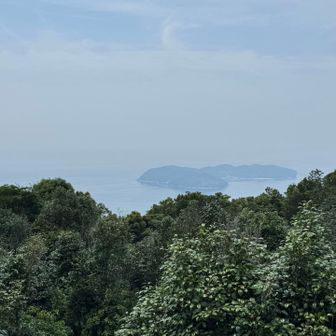 天の浮橋（沼島）遥拝所からの眺望。天気が良ければ住まいのある和歌山市が見えるんですがね〜😭沼島も霞んでます。
