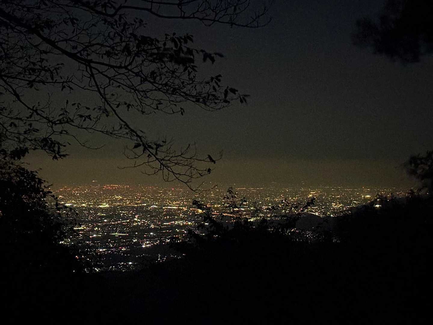 夜景が綺麗です✨