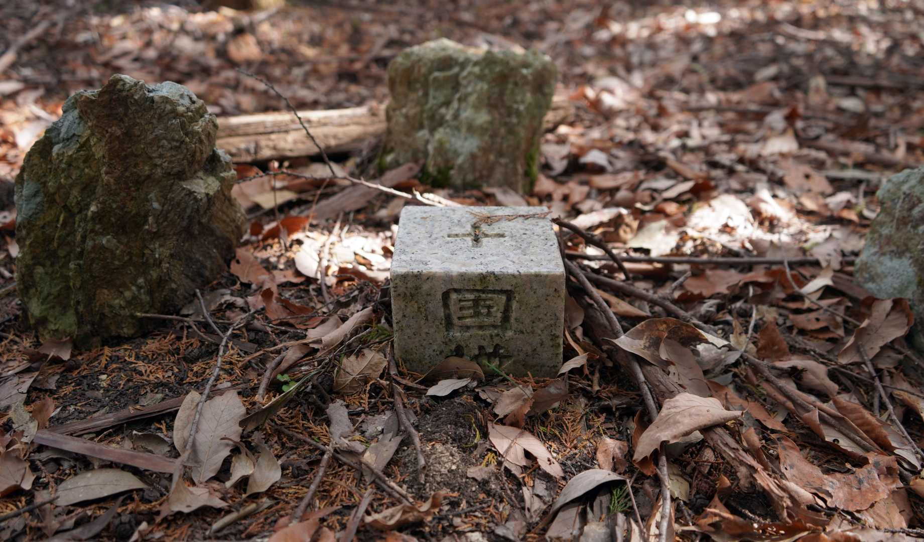 薄月山 三角点

等級種別	四等三角点
基準点名	薄月山
北緯	34°10′22″.6326
東経	135°24′28″.2646
標高(ｍ)	472.71