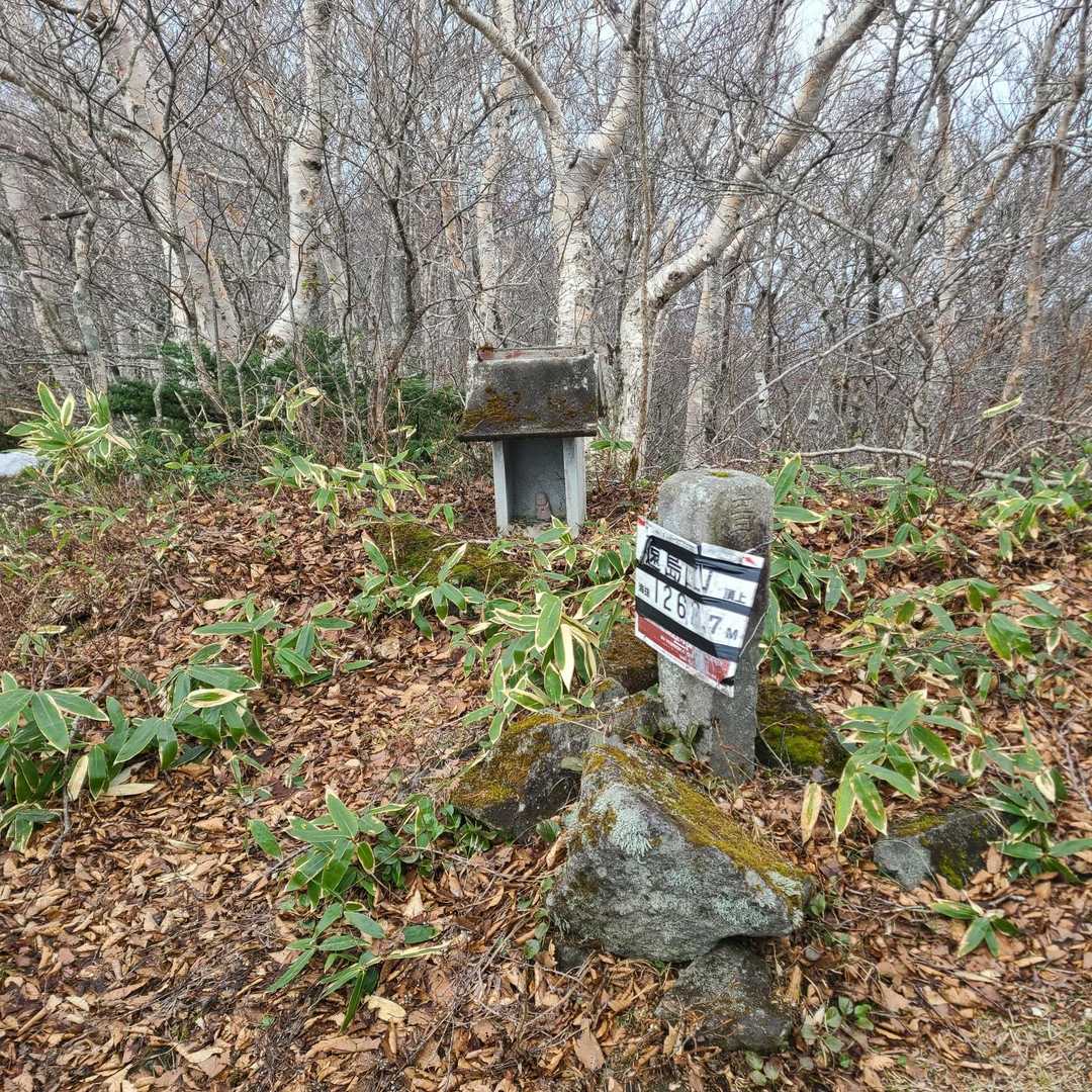 遠島山 往復コースの写真