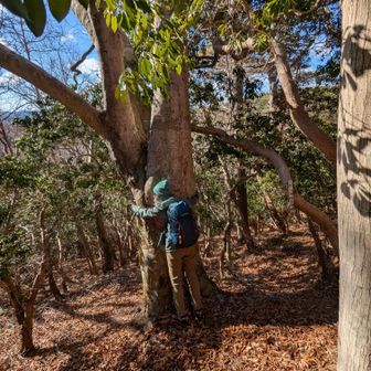 ブナ太郎到着！
chizuさん、抱きつく…
春に来た時、もう来ないからブナ太郎まで行くか！とか、言ってたけど、2回来ちゃったね!😂💦