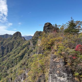来月半ばくらいには綺麗に紅葉するかな？