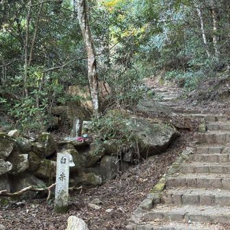 この先にはいかず