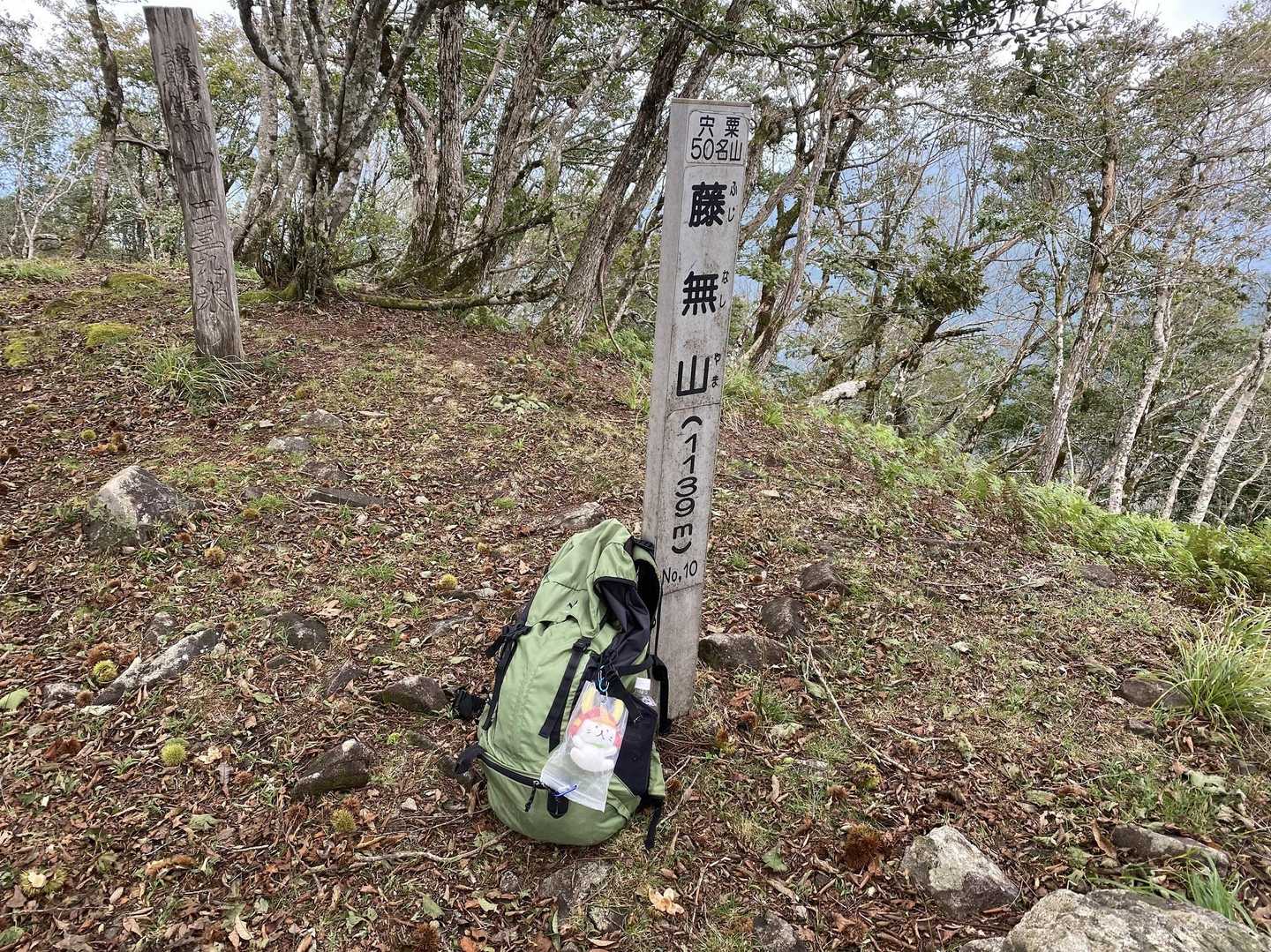 藤無山 往復コースの写真