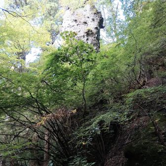 戻って北岳へ、
登山道にも色々な岩壁が😀