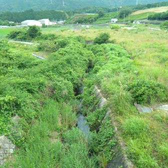 新乗岩橋から田原川下流方面を見る