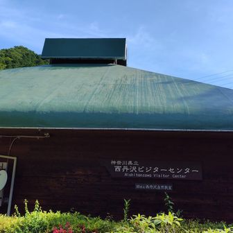 おなじみのスタート地点。
