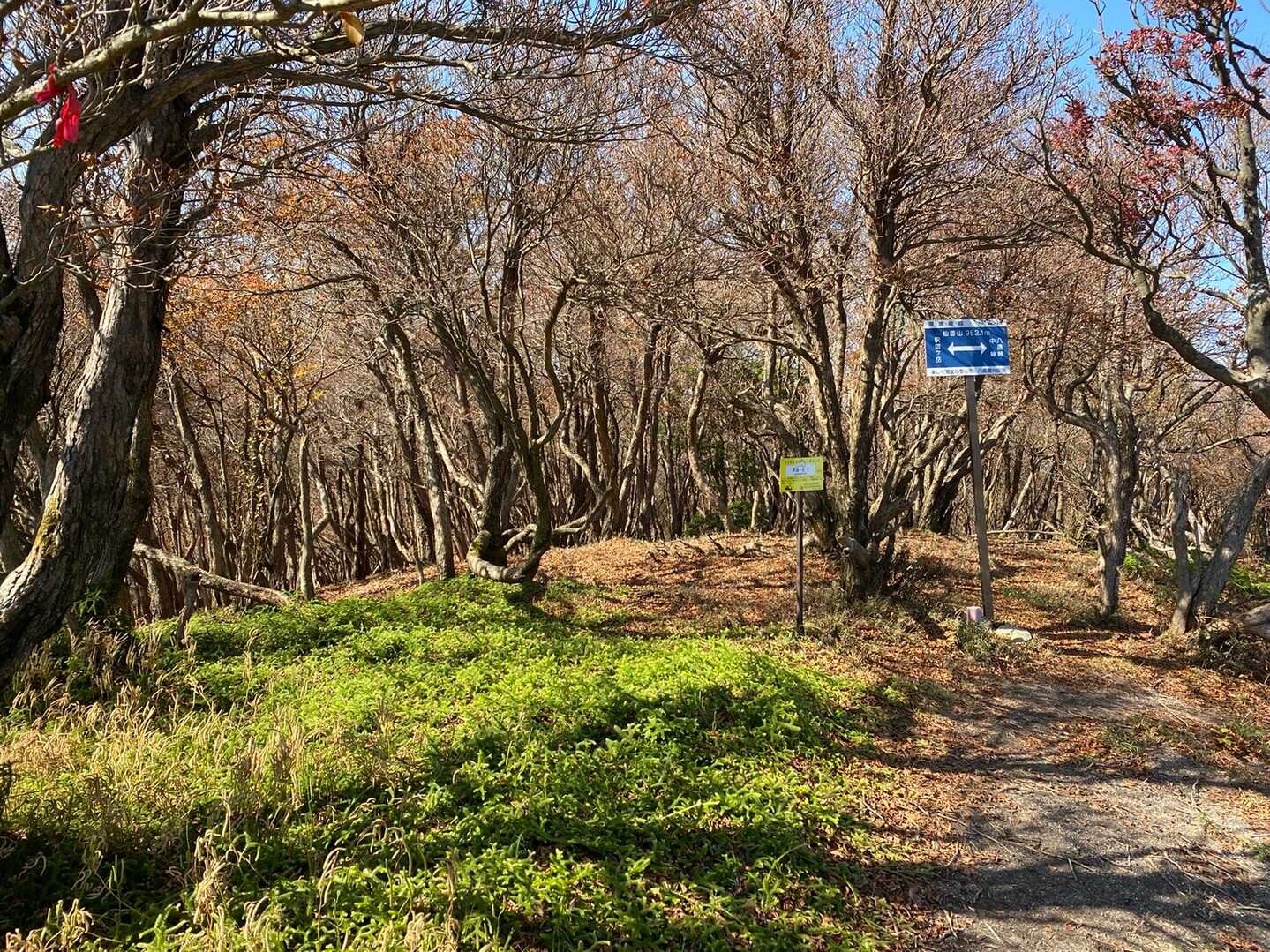 仙香山の写真